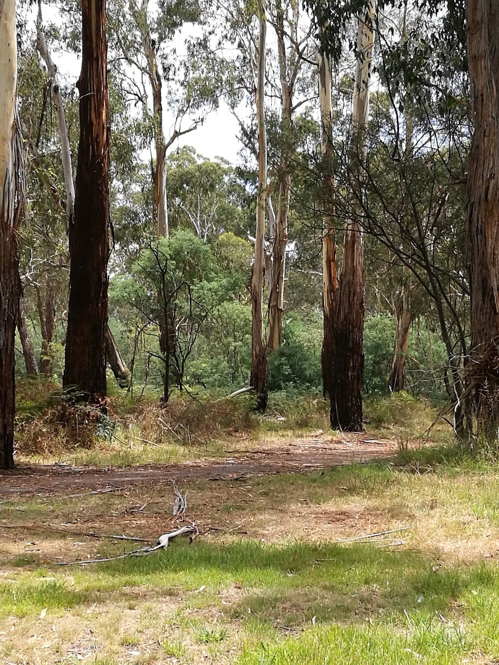 Bucks Walking Trail | park | Donvale VIC 3111, Australia