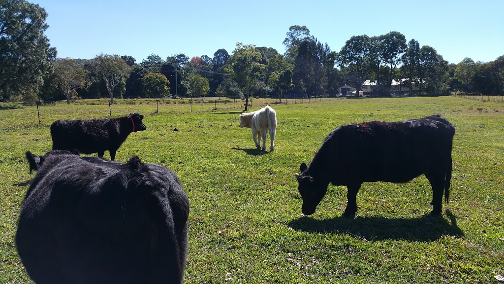 Cattle Clobber | food | 11 Anzac Rd, Eudlo QLD 4554, Australia | 0754788898 OR +61 7 5478 8898