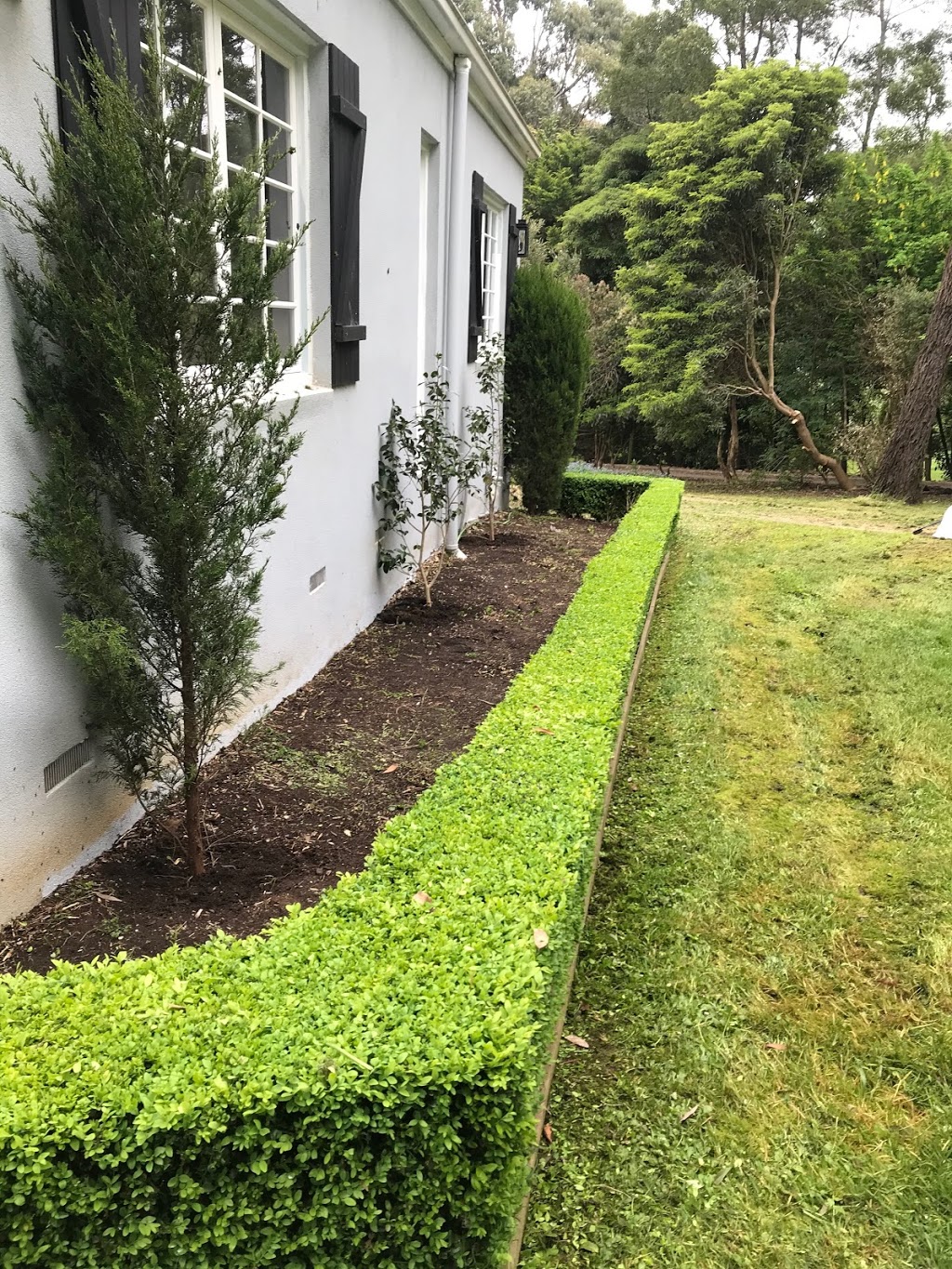 Bloomberry Garden Maintenance | general contractor | 39 Cornwall Cres, Mount Martha VIC 3934, Australia | 0407552078 OR +61 407 552 078