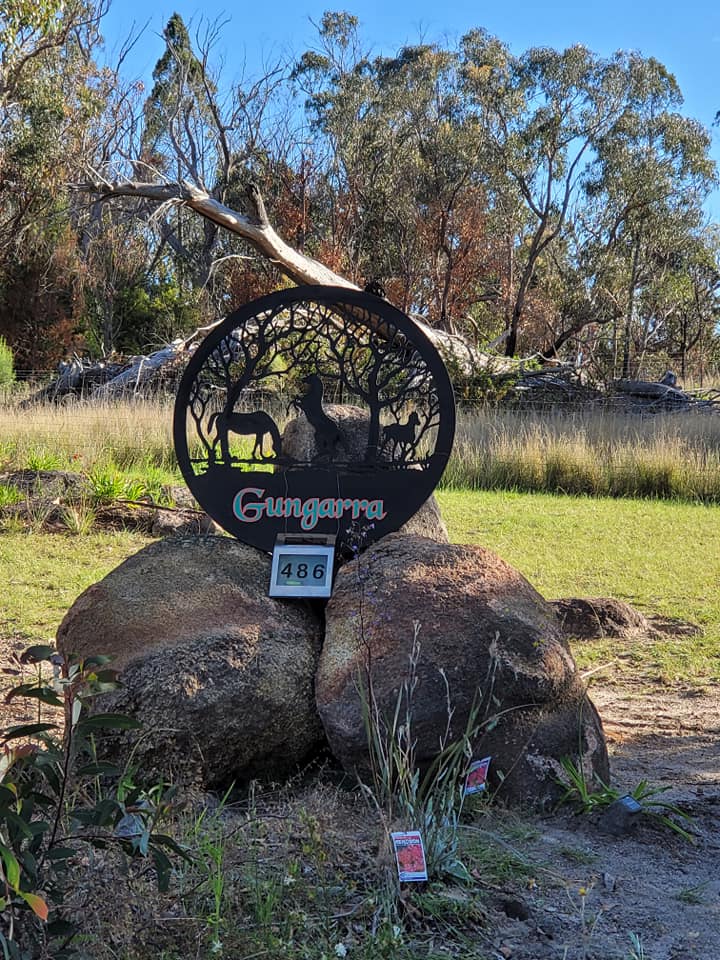 Gungarra Gardens | 486 Mount Tully Rd, Mount Tully QLD 4380, Australia | Phone: 0408 440 481