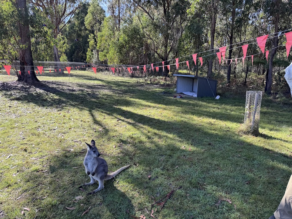 Quoll Headquarters | 662 Talmoi Rd, Boonoo Boonoo NSW 2372, Australia | Phone: 0407 290 971