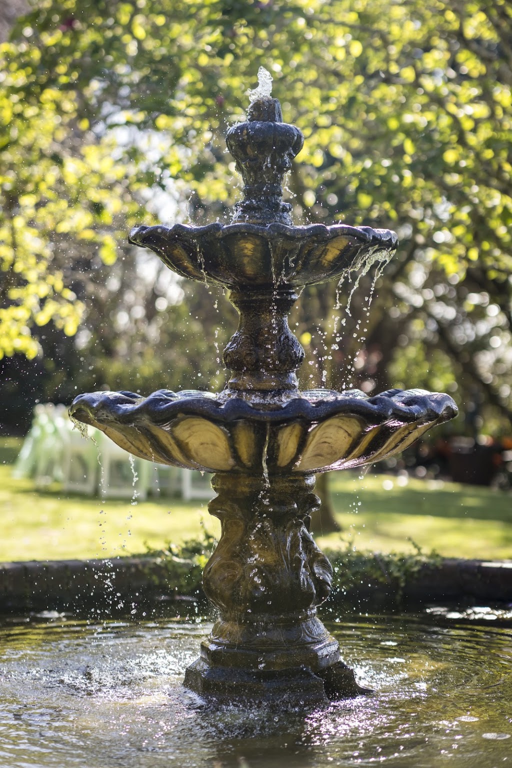 Highgarden Estate | 268 Long Rd, Tamborine Mountain QLD 4272, Australia | Phone: 0477 004 870