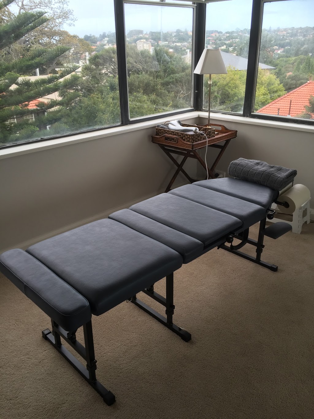 Dr Amy Melamet Chiropractor | 414 Edgecliff Rd, Sydney NSW 2025, Australia | Phone: 0413 794 889