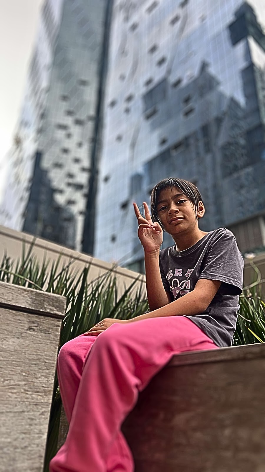 ELYSIUM MediaLabs | 45 Kenna Ave, Hamilton VIC 3300, Australia | Phone: 0494 163 040