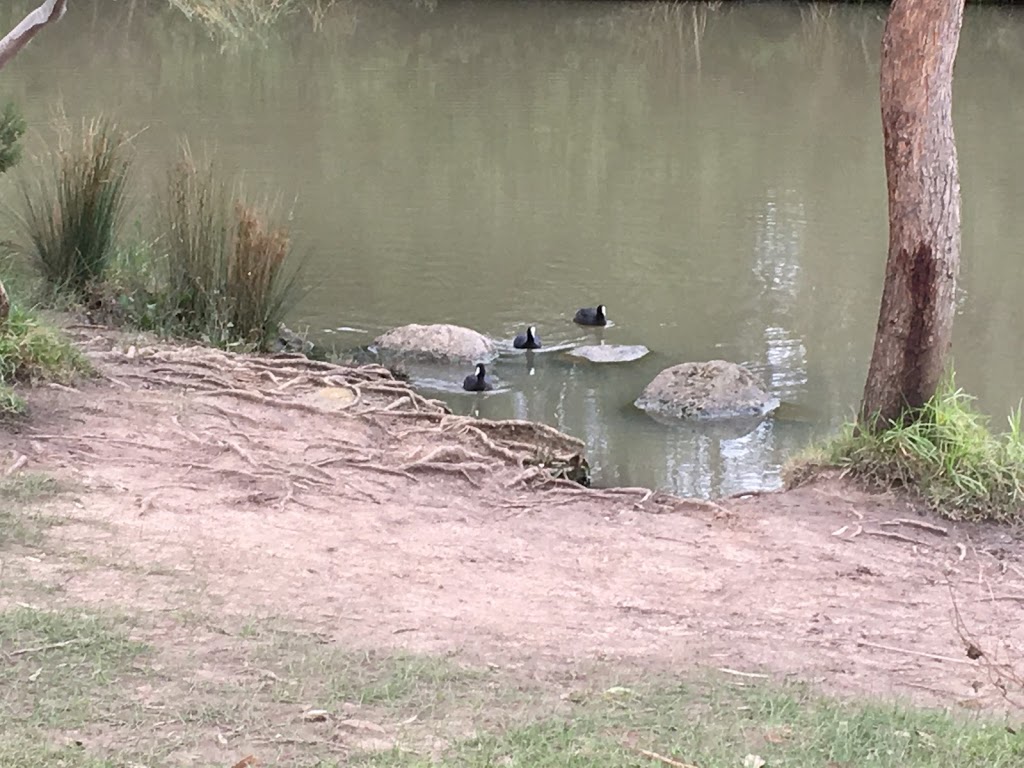 Nesting Island | zoo | Ruffey Lake, Templestowe VIC 3106, Australia