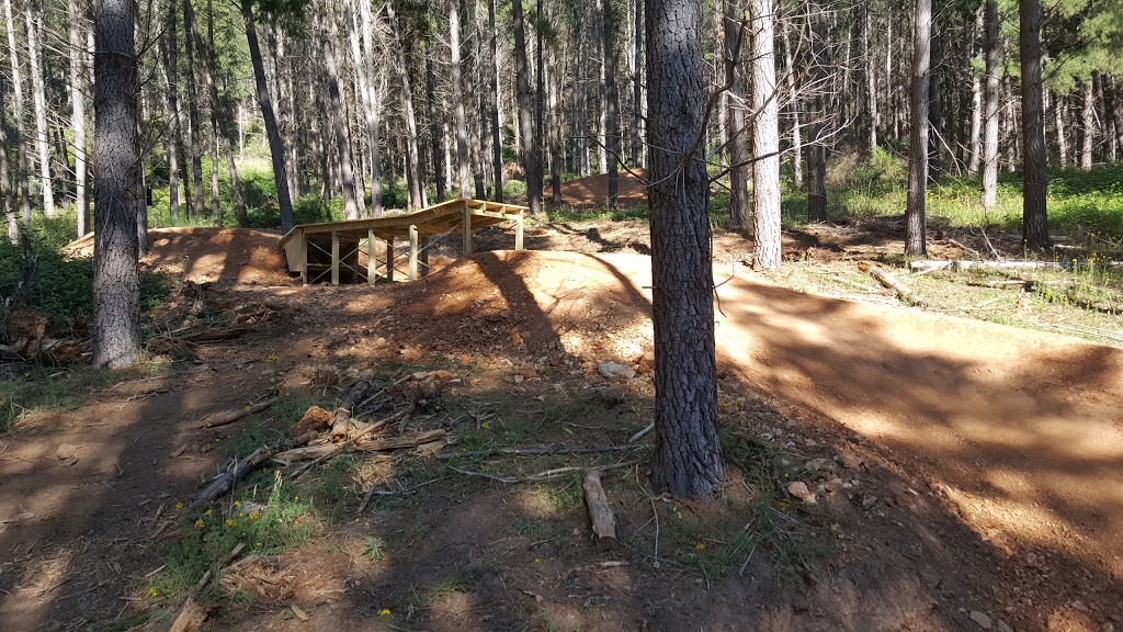 Mystic Mountain Bike Park | Mystic Trail Head, Coronation Ave, Bright VIC 3741, Australia | Phone: 1800 111 885