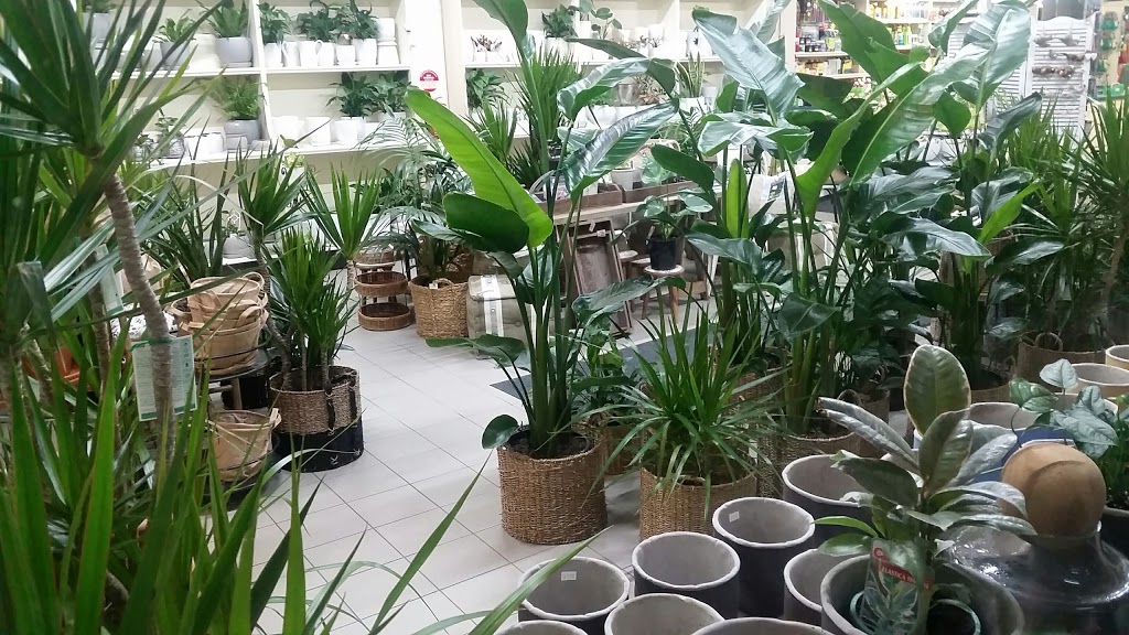 Norwood Garden Centre | store | 299 Portrush Rd, Norwood SA 5067, Australia | 0884315644 OR +61 8 8431 5644