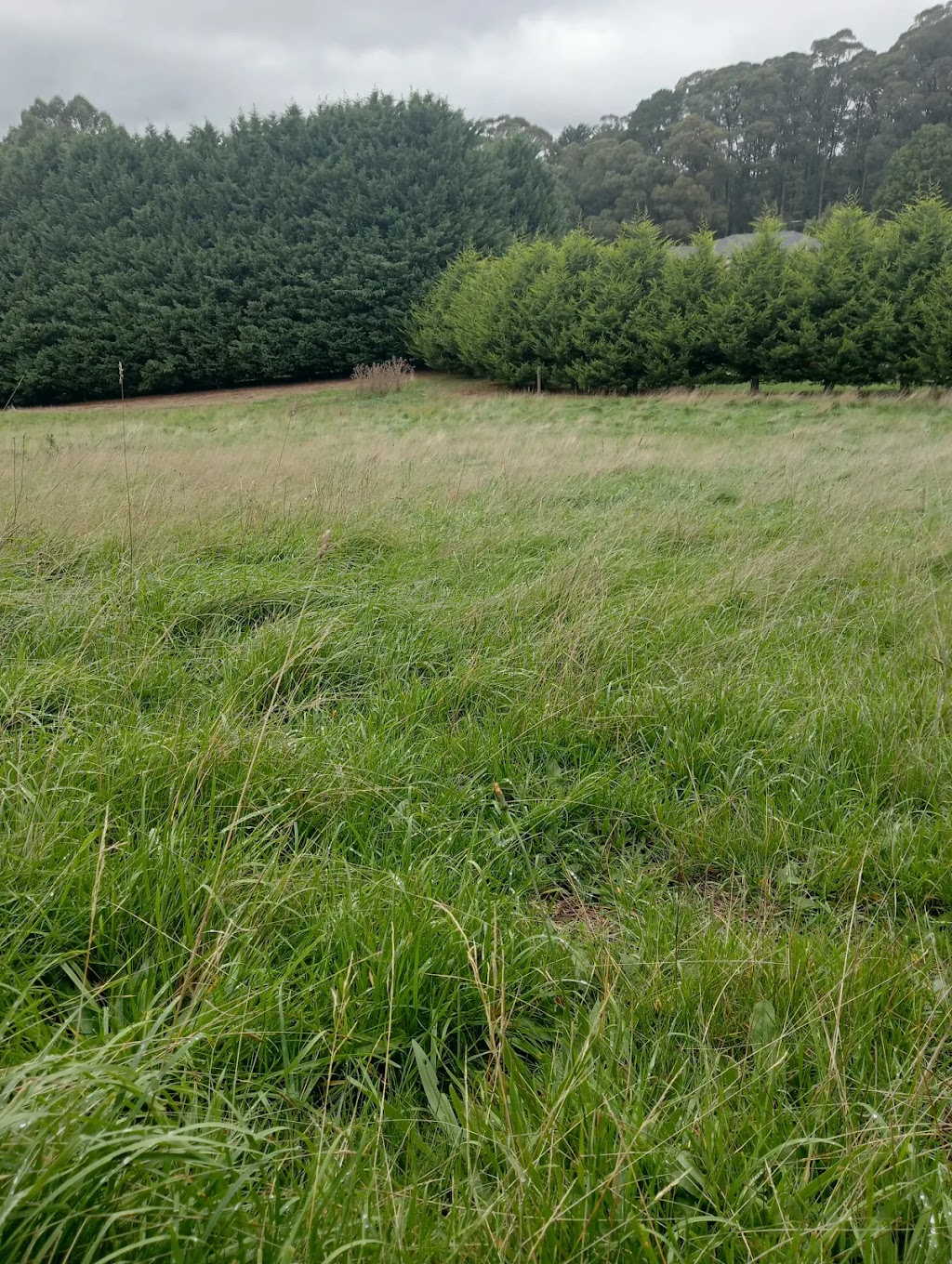 KL - West Garden Services. Kinglake West | 100 National Park Rd, Kinglake West VIC 3757, Australia | Phone: 0473 168 096