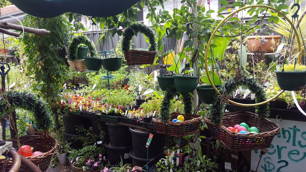 Hobby garden & Nursery | 479 Mitcham Rd, Mitcham VIC 3132, Australia