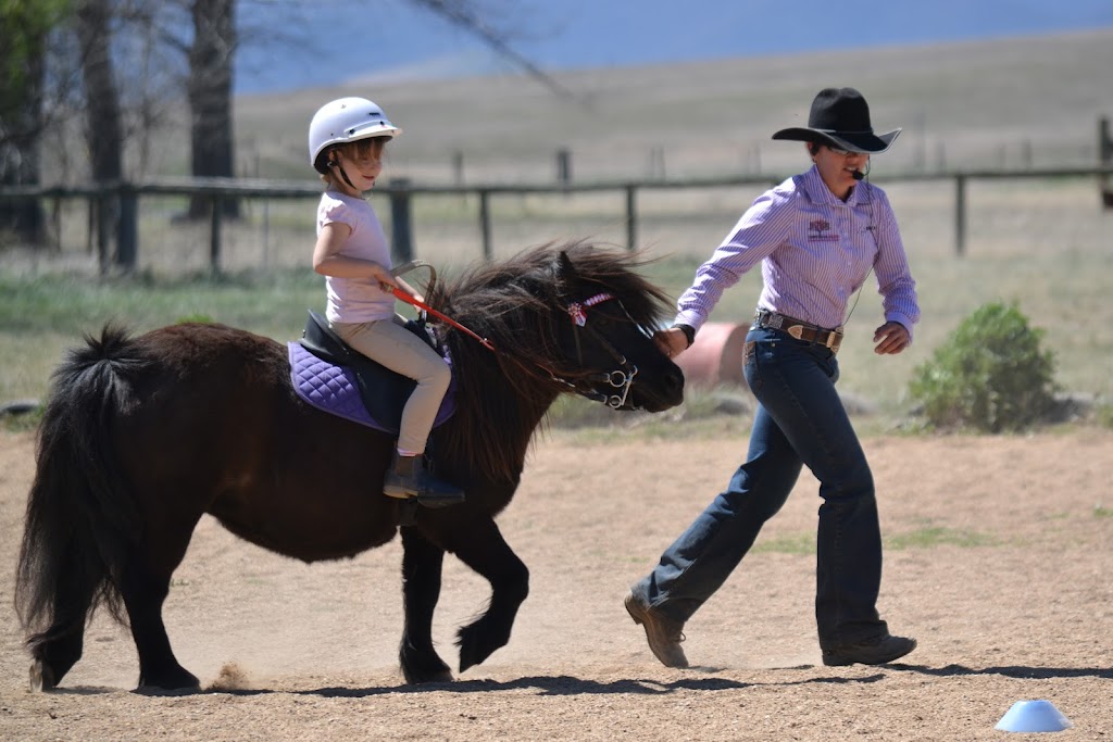 Cherry Tree Equine | 397 Greenhills Rd, Jerangle NSW 2630, Australia | Phone: 0413 609 880