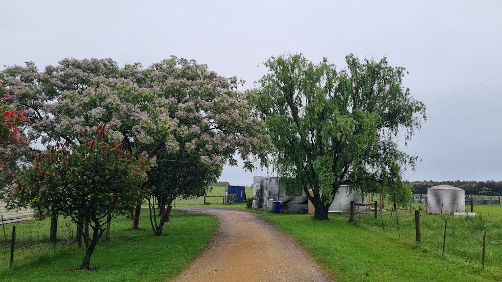 Purrfect Paws Cattery Maffra | 368 Falls Ln, Maffra VIC 3860, Australia | Phone: 0400 554 592