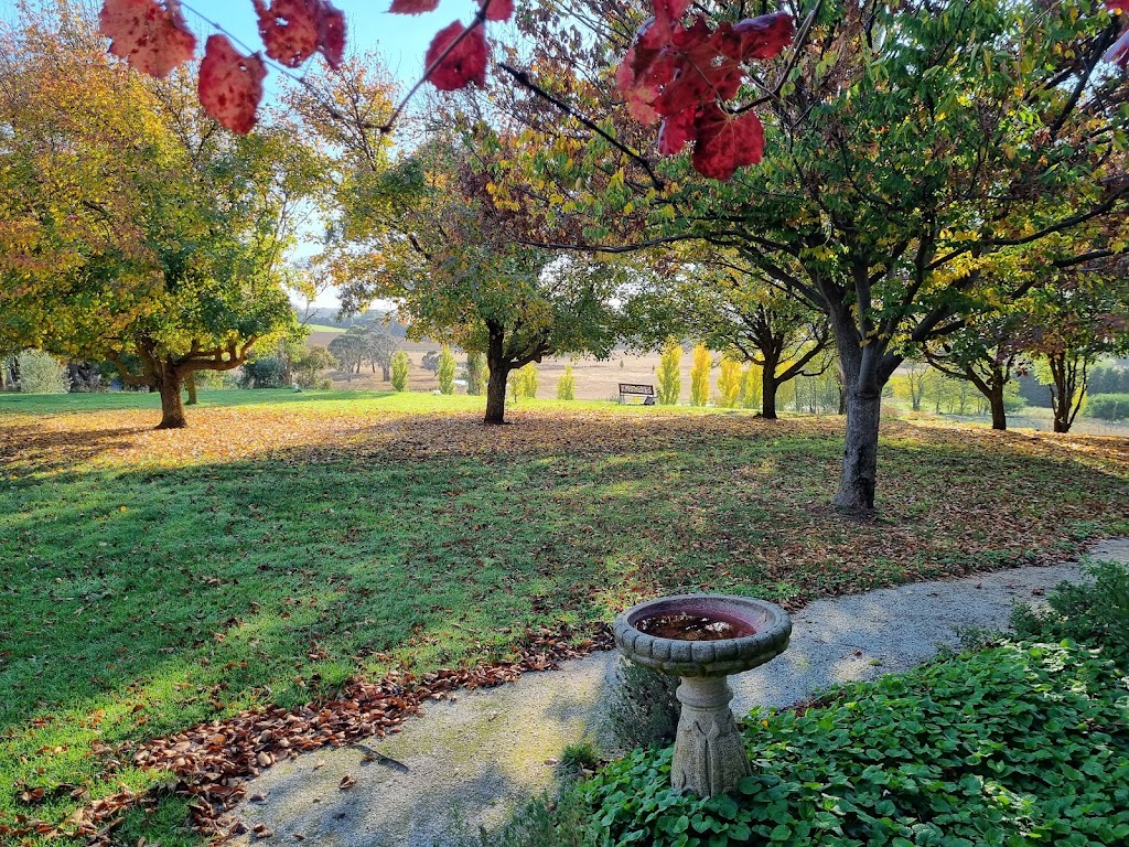 Orangewood Holiday House NSW | 555 Tallwood Rd, Forest Reefs NSW 2798, Australia | Phone: 0447 432 236