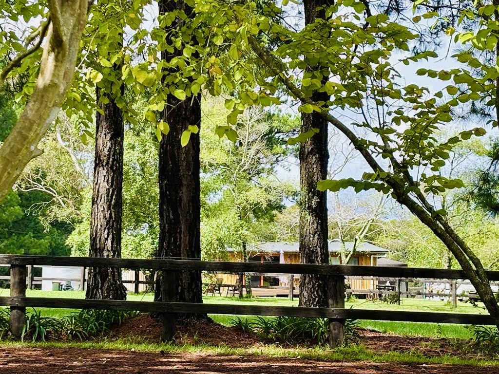 Somersby Eventing | 521 Wisemans Ferry Rd, Somersby NSW 2250, Australia | Phone: 0410 451 699