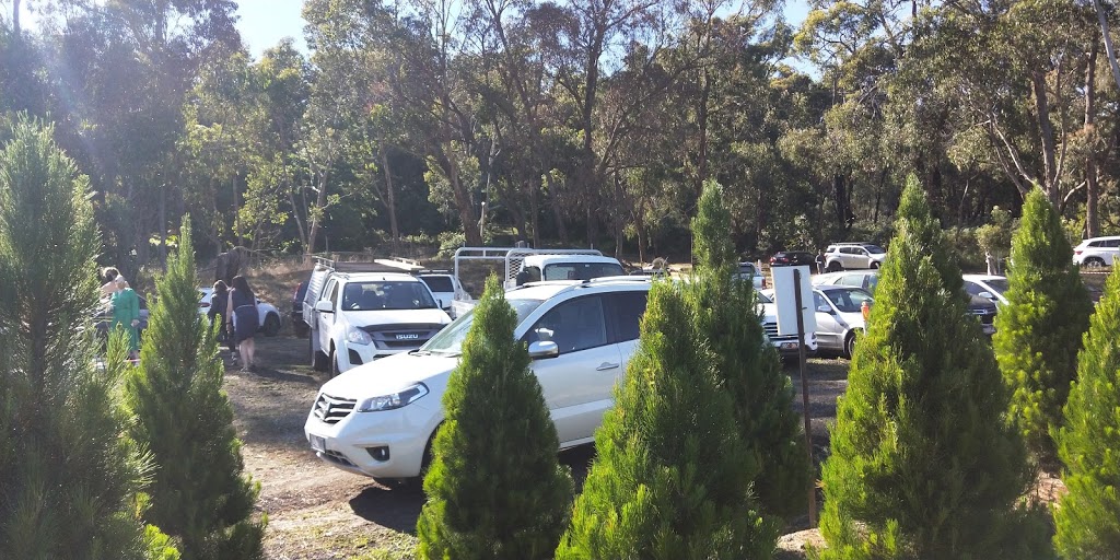 Montrose Christmas Tree Farm |  | 15 Moore Ave, Montrose VIC 3765, Australia | 0419537374 OR +61 419 537 374