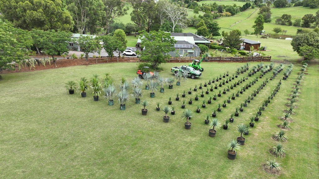 Tropical Living Nursery | 470 Menangle Rd, Menangle NSW 2568, Australia | Phone: 0423 253 500