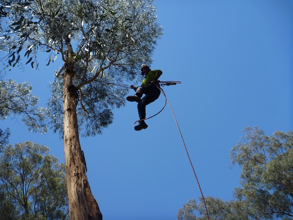 Trusted Tree Services | 50 Ferguson St, Upwey VIC 3158, Australia | Phone: 0414 461 615