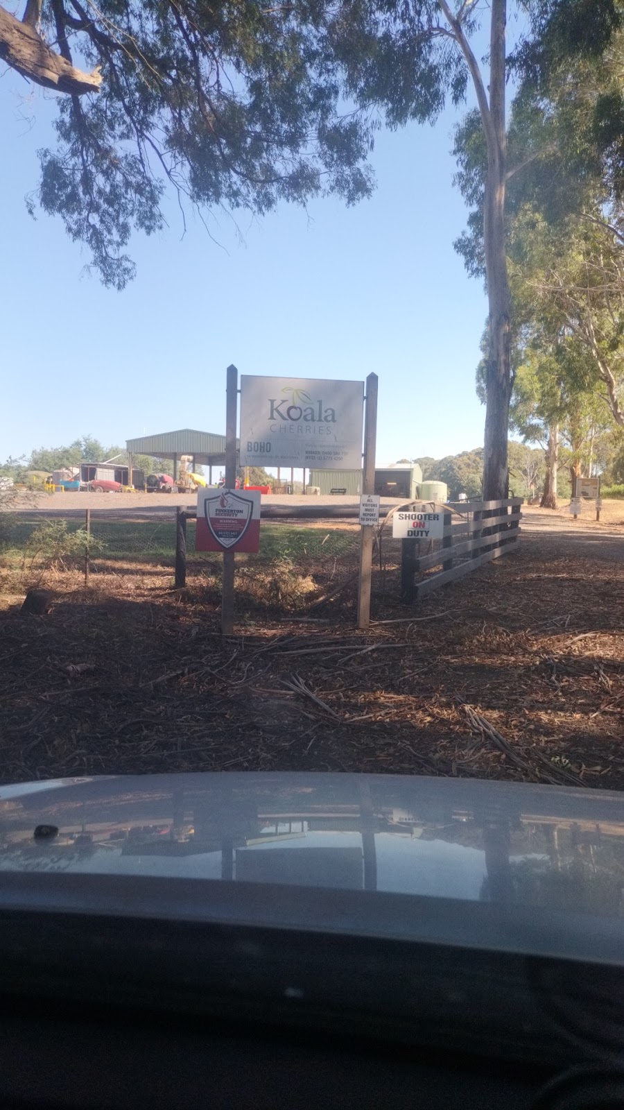 Koala Cherries - Boho South | 785 Bonnie Doon Rd, Boho South VIC 3669, Australia | Phone: (03) 5773 4250