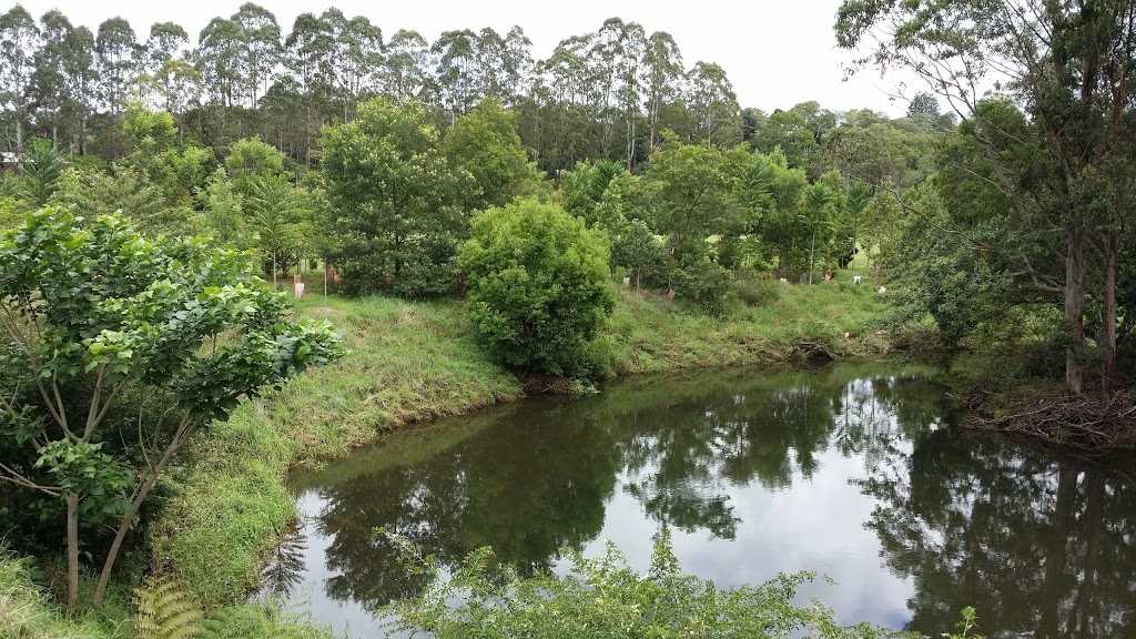 Platypus Viewing Platform (Maleny) | North Maleny QLD 4552, Australia Platypus Viewing Platform (Maleny) | North Maleny QLD 4552, Australia