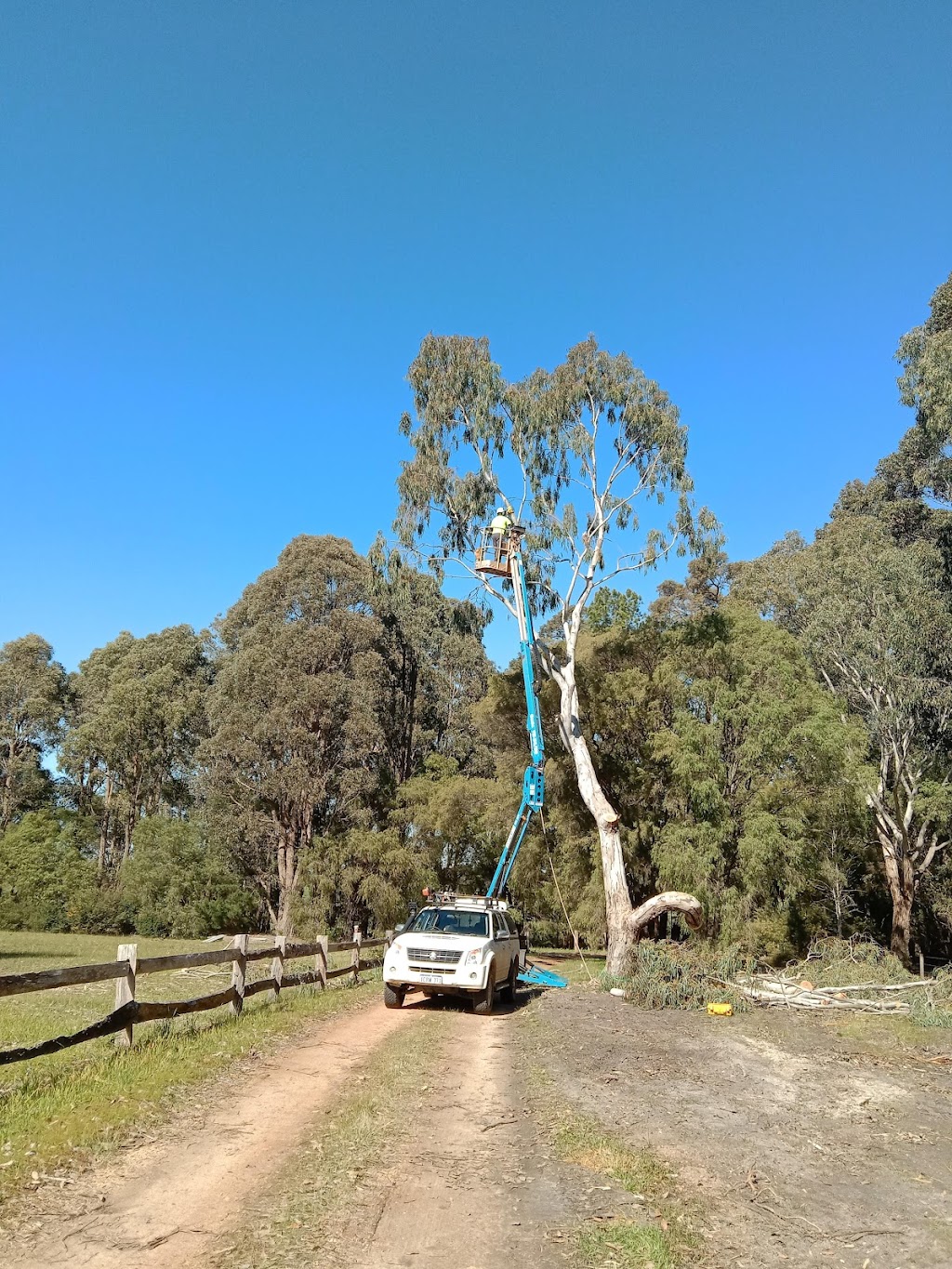 Parks Chainsaw and Tree Services | 32 Forrest St, Bridgetown WA 6255, Australia | Phone: 0459 689 518