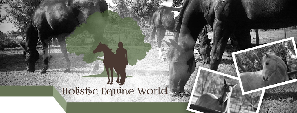 Holistic Equine World | 352 Nine Mile Rd, Rushworth VIC 3612, Australia | Phone: 0439 862 088