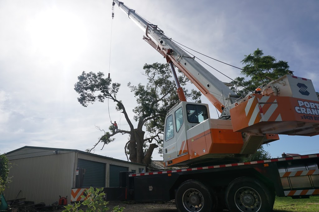 A Cut Above Tree And Garden |  | Pine Cres, Sandy Beach NSW 2456, Australia | 0448422489 OR +61 448 422 489