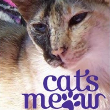 Cats Meow Cattery at Samford | 54 Reiners Rd, Samford Valley QLD 4520, Australia | Phone: 0419 776 430