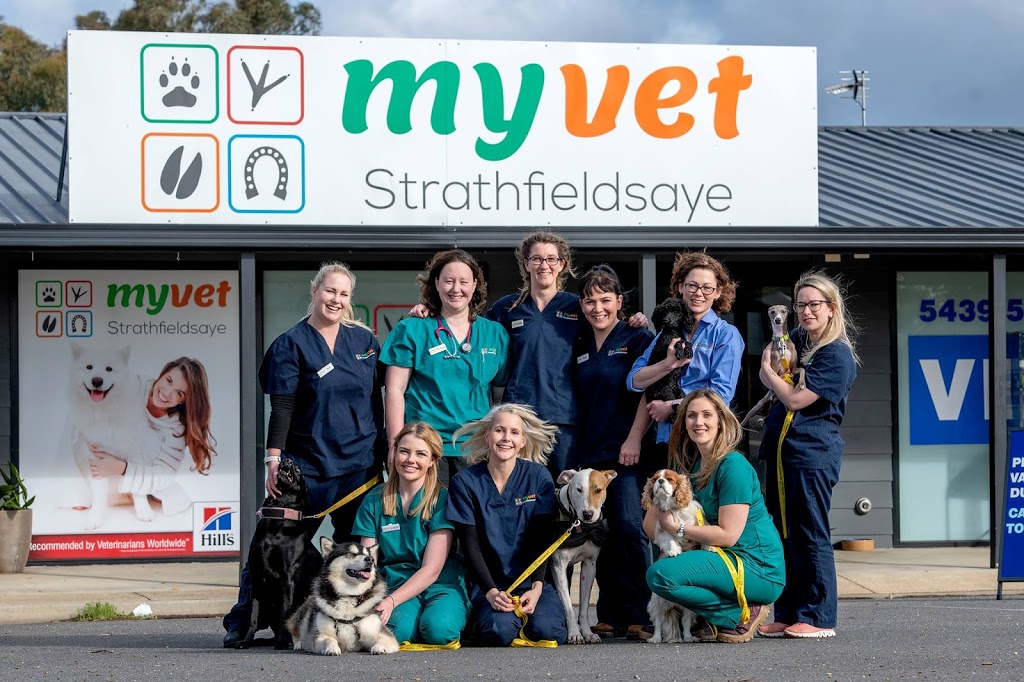 myvet Strathfieldsaye | veterinary care | 942 Wellington St, Strathfieldsaye VIC 3551, Australia | 0354395066 OR +61 3 5439 5066