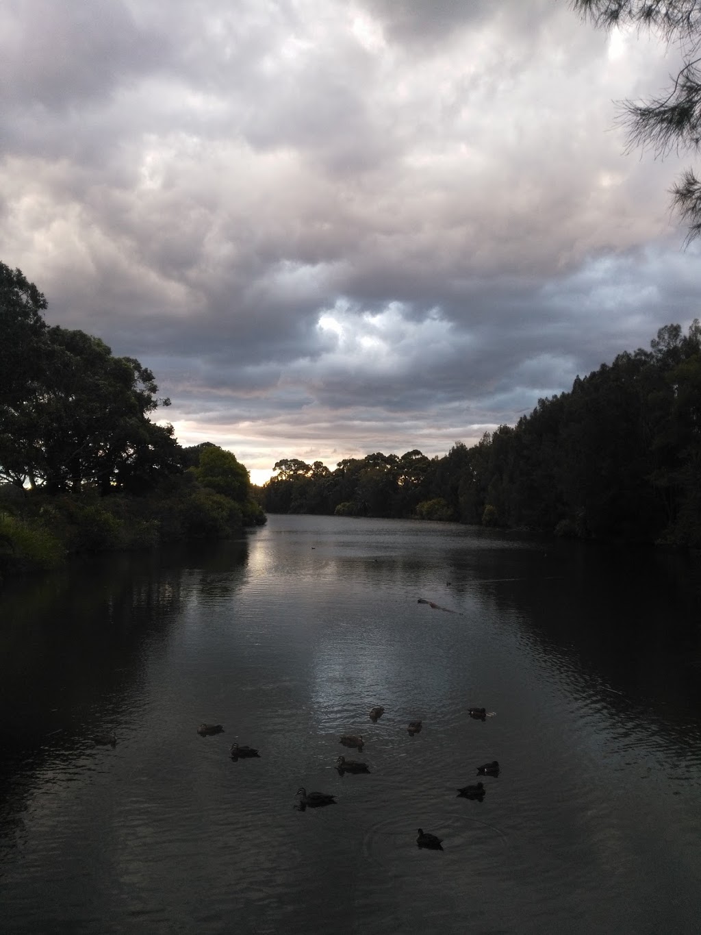 Scarborough Park | park | Monterey NSW 2217, Australia