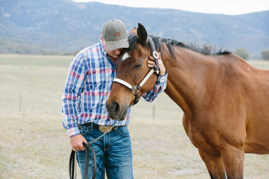 Diamond Blue Stables | health | 135 Coffeys Rd, Michelago NSW 2620, Australia | 0414700410 OR +61 414 700 410