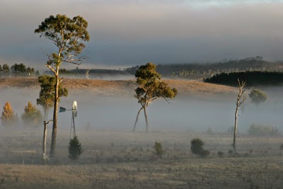 The Huts Farm Accommodation | lodging | 504 Terrible Vale Rd, Kentucky NSW 2354, Australia | 0267787214 OR +61 2 6778 7214