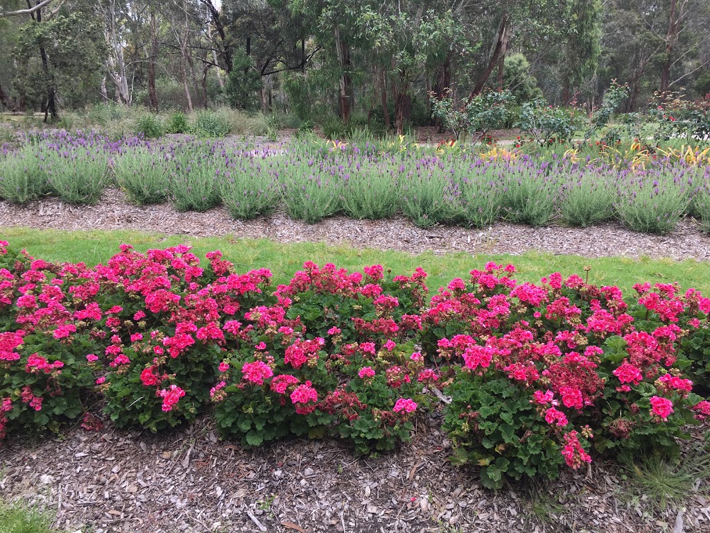 Blackburn Lake - Flowers of the past | park | 93 Central Rd, Blackburn VIC 3130, Australia