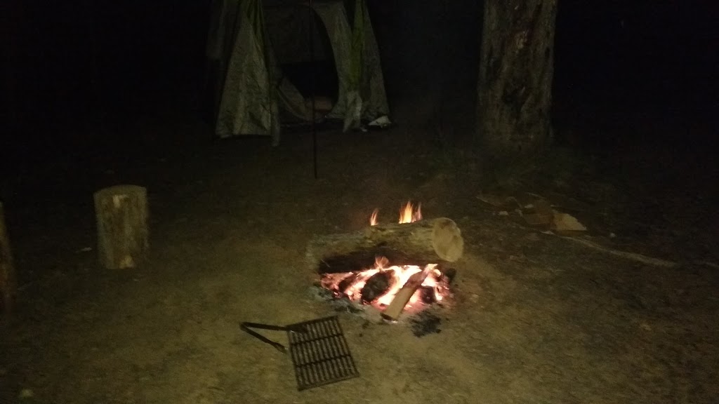 25 Mile Creek Camping Ground | campground | Eildon VIC 3713, Australia