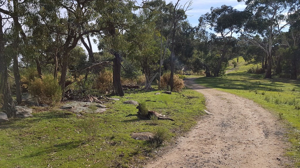 Churchill National Park | park | Lysterfield South VIC 3156, Australia | 131963 OR +61 131963