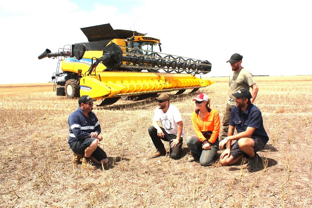 Pinehills Pastoral Co | 2422 Coomalbidgup Rd, Lort River WA 6447, Australia | Phone: (08) 9078 6030