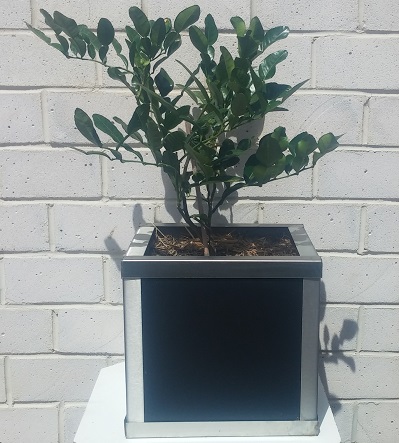 planterpots.com.au | home goods store | 127 Dromana Parade, Safety Beach VIC 3936, Australia | 0405104934 OR +61 405 104 934