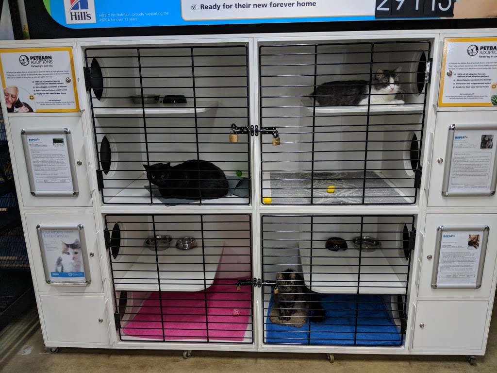 Petbarn Port Macquarie | pet store | Port Home Zone, 160 Hastings River Dr, Port Macquarie NSW 2444, Australia | 0265839241 OR +61 2 6583 9241