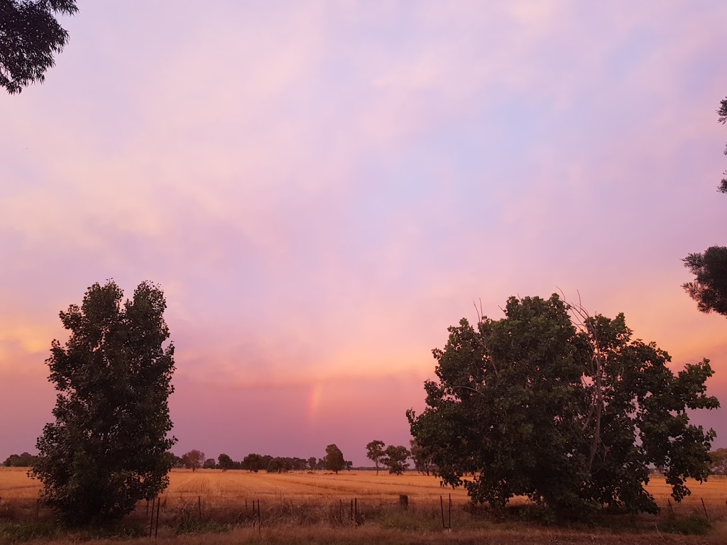 Coonara Farmstay | 708 Racecourse Rd, Tocumwal NSW 2714, Australia | Phone: 0487 573 592