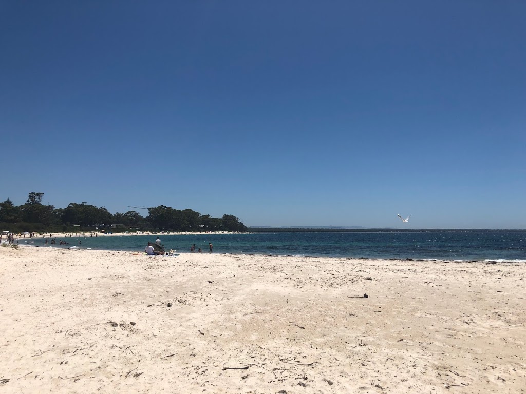 Husky Kite School Meeting Place | Collingwood St, Basin View NSW 2540, Australia | Phone: 0448 418 088