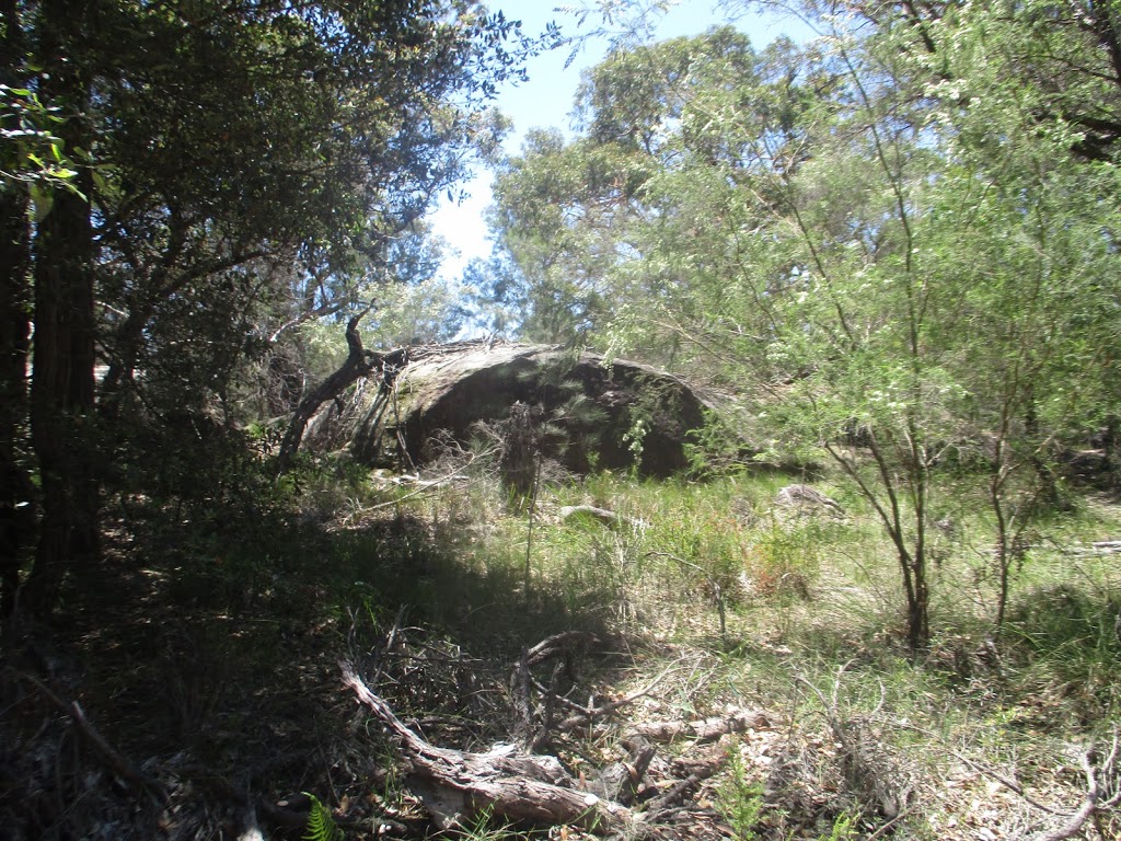 The Basin Trail | Basin Trail, Ku-Ring-Gai Chase NSW 2084, Australia