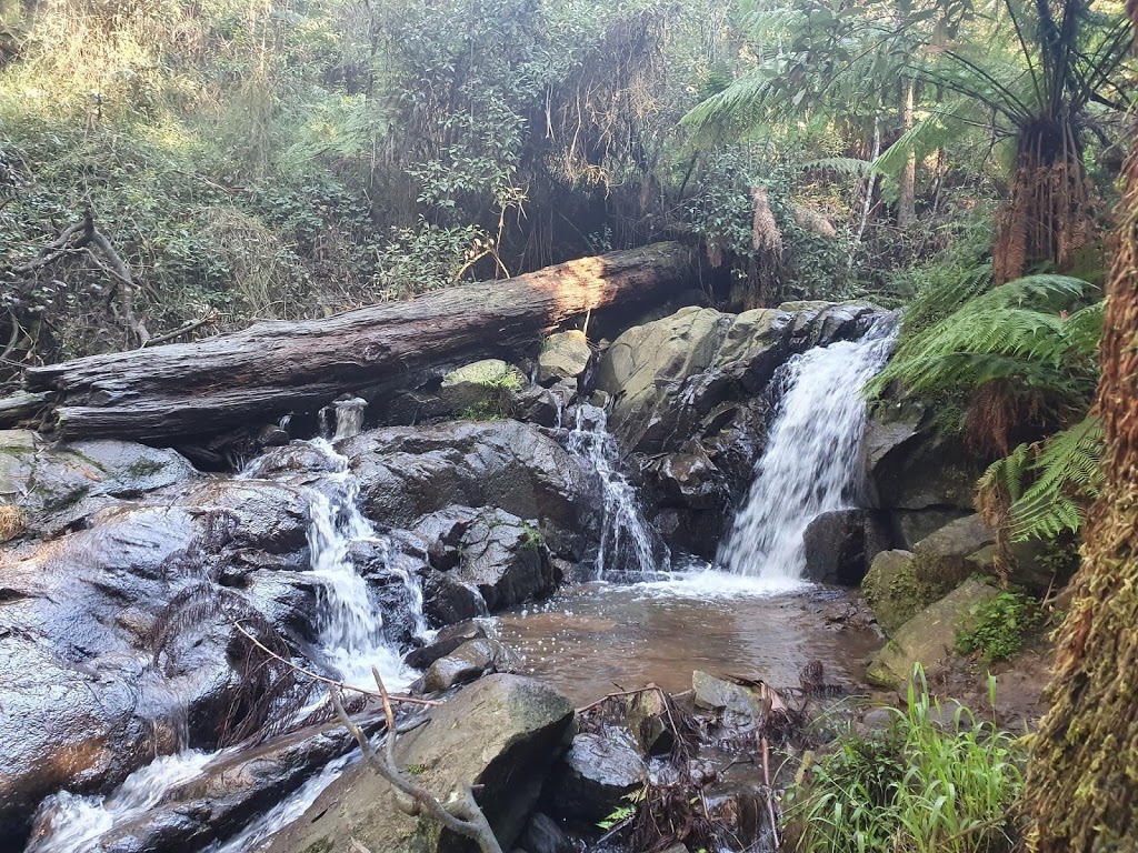 Olinda Falls | Falls Track, Olinda VIC 3788, Australia | Phone: 13 19 63