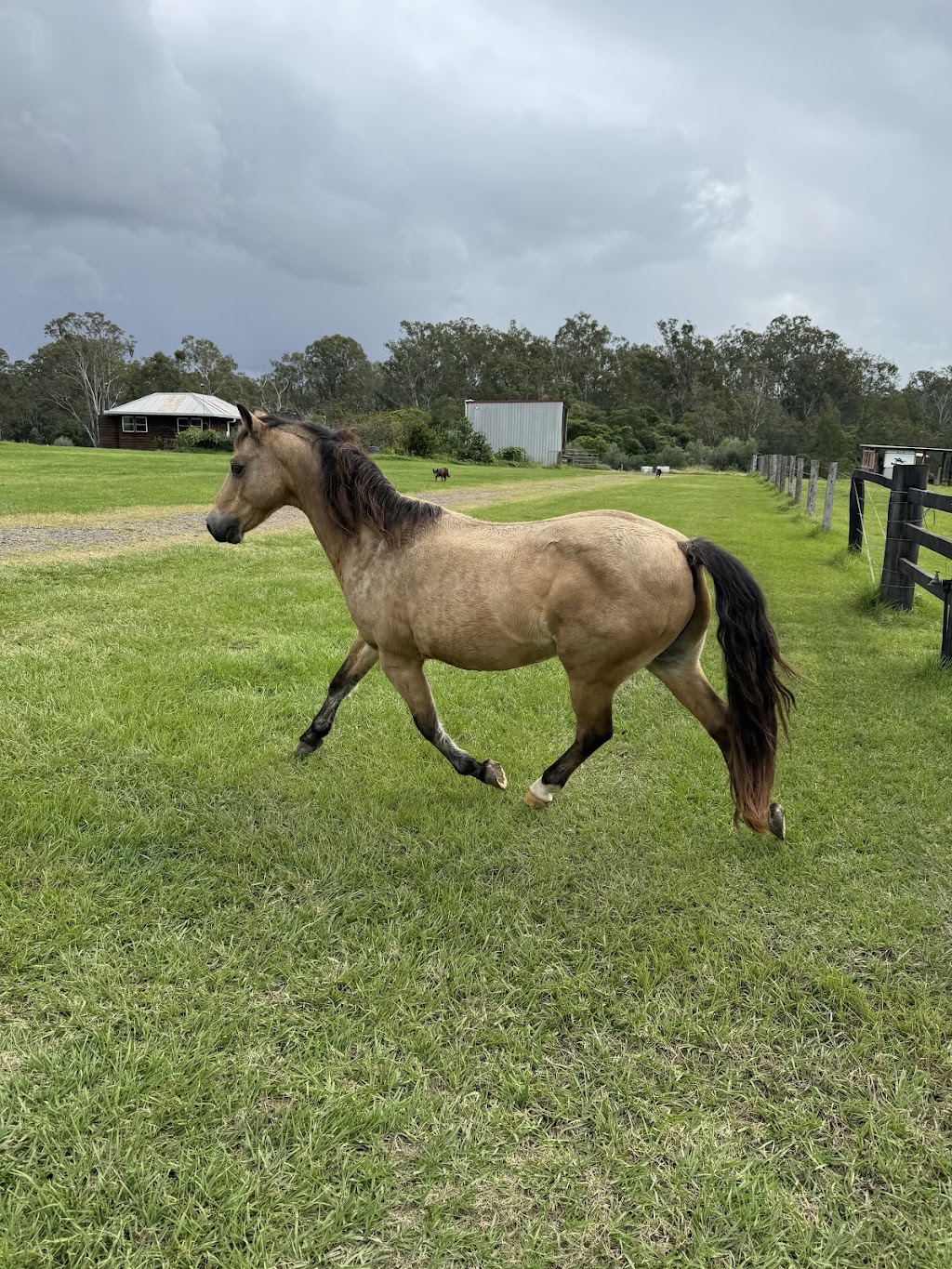 Cromwell Farms Glenugie Station | 23 Eight Mile Ln, Glenugie NSW 2460, Australia | Phone: 0447 755 440