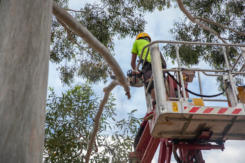 Payne’s Trees and Fencing Services |  | 137 Gooseberry Hill Rd, Gooseberry Hill WA 6076, Australia | 0455132014 OR +61 455 132 014