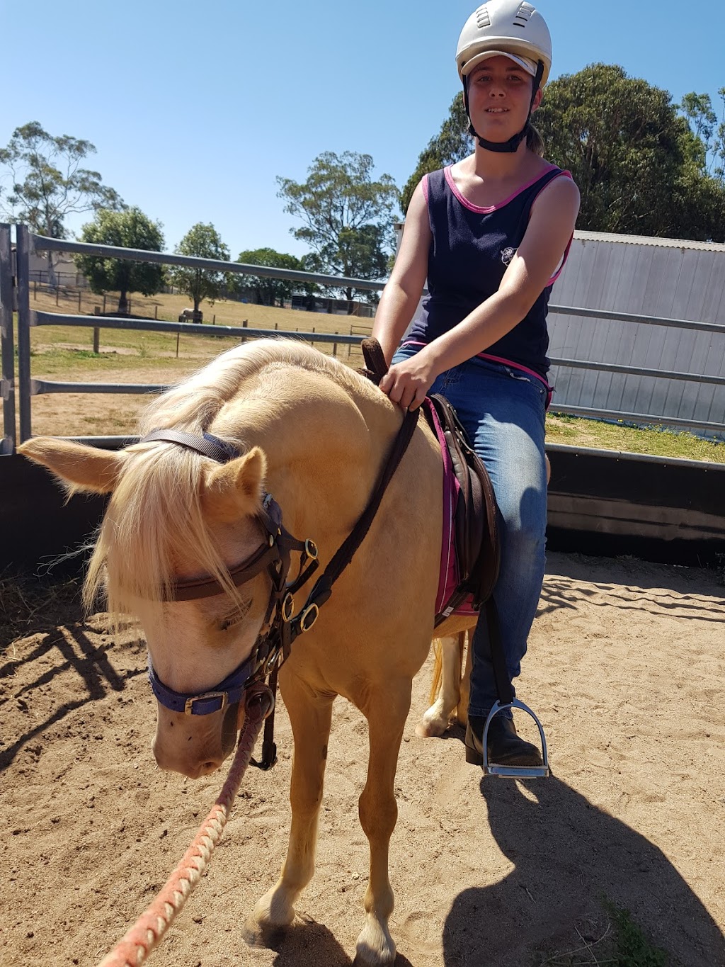 Buy and sell Training and breaking horse service | 49 Cherry Vale Pl, Young NSW 2594, Australia | Phone: 0458 275 879