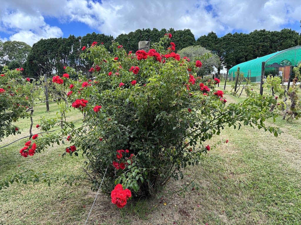 Cedar Creek Estate Weddings | 104 Hartley Rd, Tamborine Mountain QLD 4272, Australia | Phone: 0406 706 063