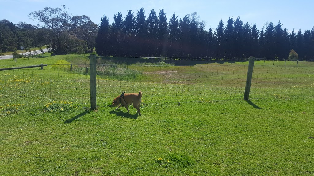 Leash Free Dog Area | park | 35 Cobb Rd, Mount Eliza VIC 3930, Australia