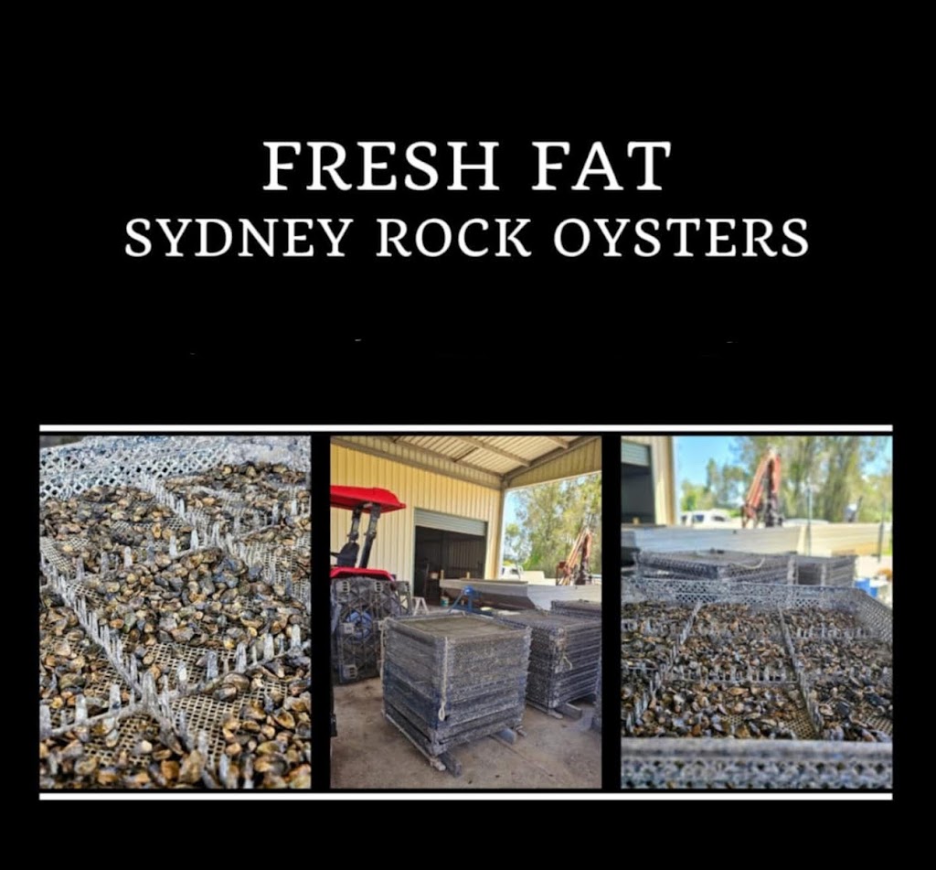 Nambucca Valley Oysters | 268 Gumma Rd, Gumma NSW 2447, Australia | Phone: 0456 556 927