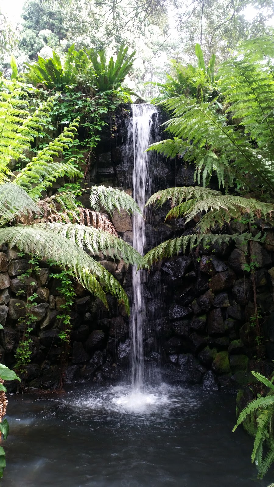 The Grotto | park | Melbourne VIC 3004, Australia | 0396589658 OR +61 3 9658 9658