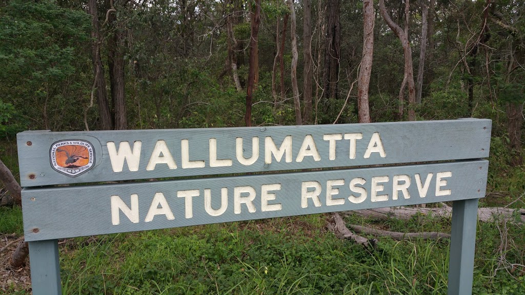 Wallumatta Nature Reserve | North Ryde NSW 2113, Australia