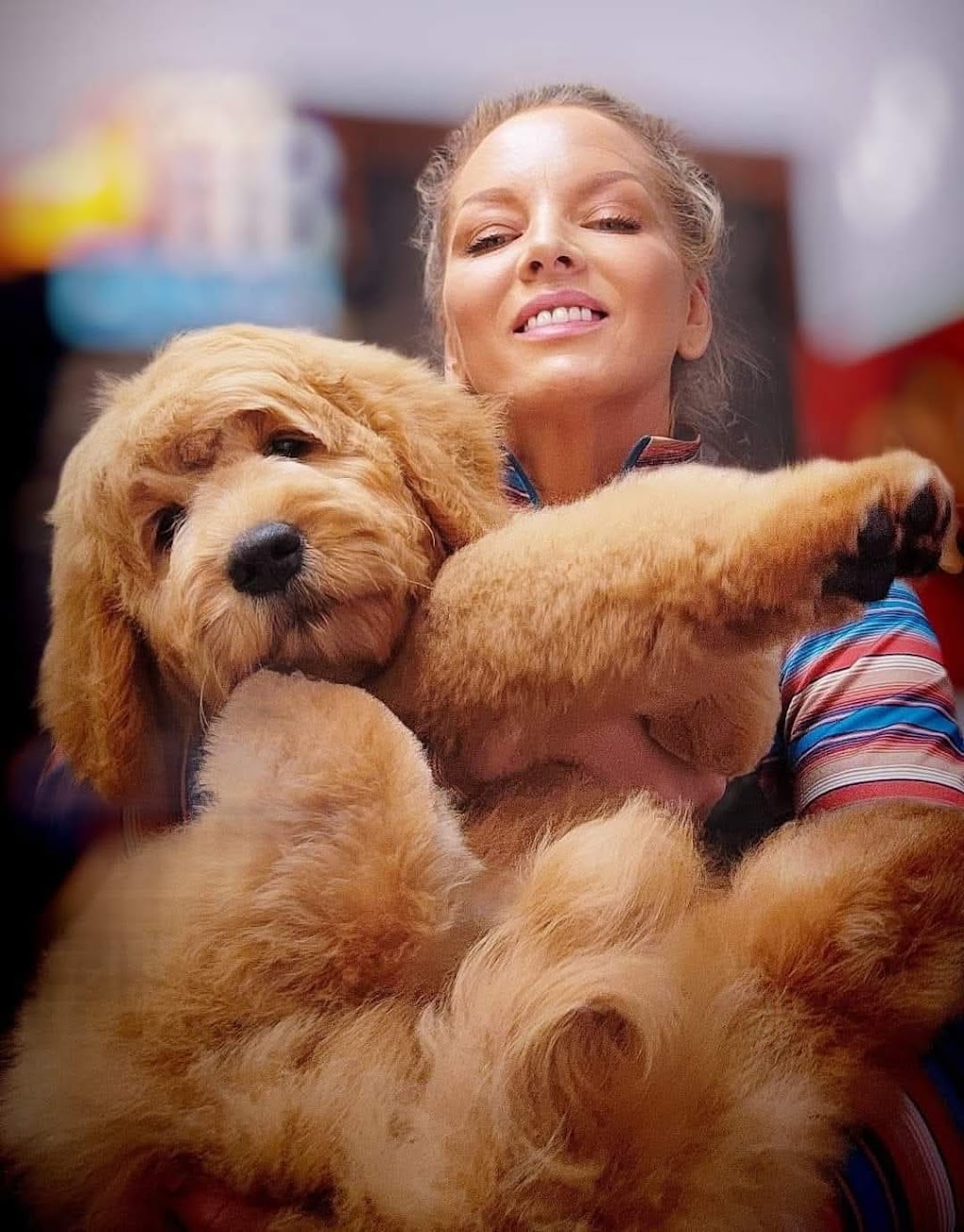 Tynong Dog Grooming | 35 Tynong Rd, Tynong VIC 3813, Australia | Phone: 0429 589 830