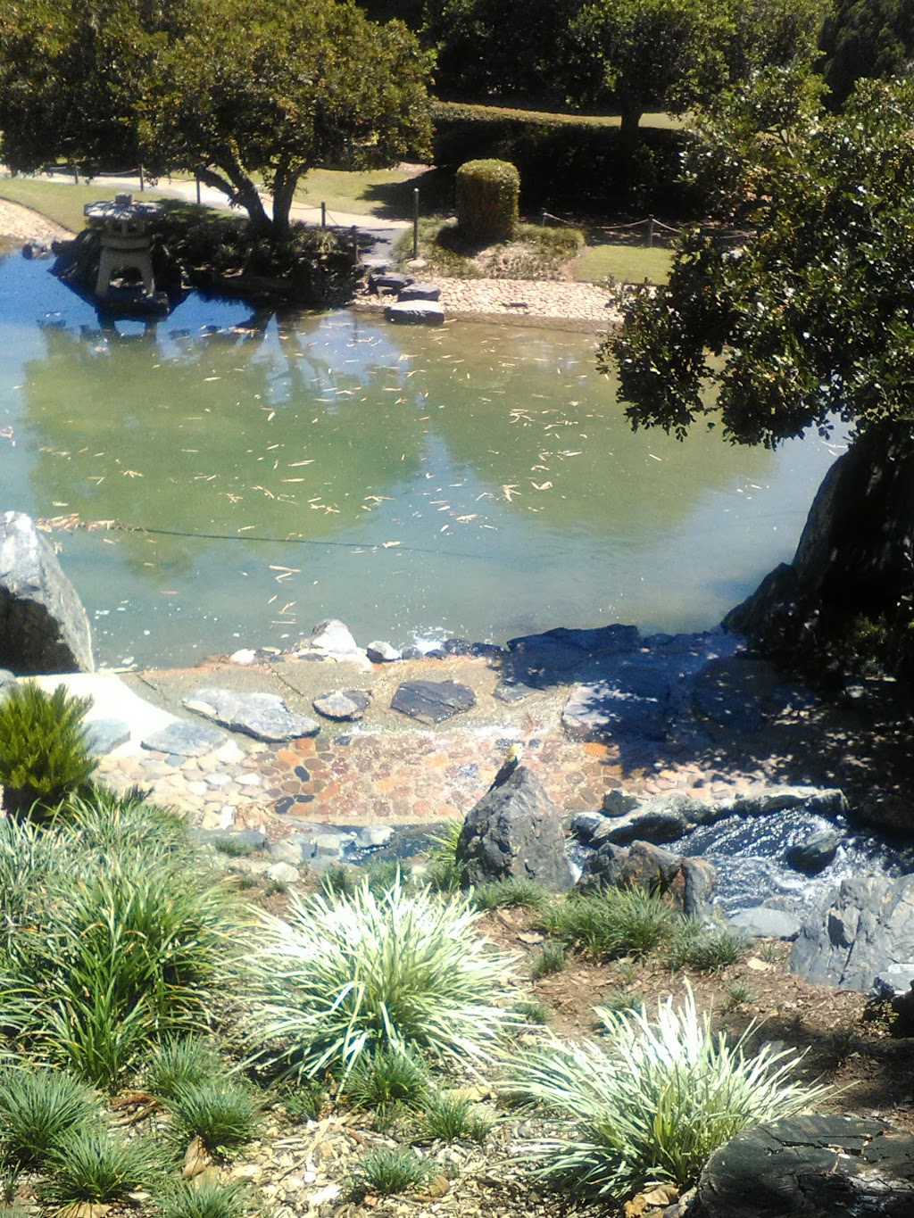 Japanese Gardens | park | Unnamed Road, The Range QLD 4700, Australia